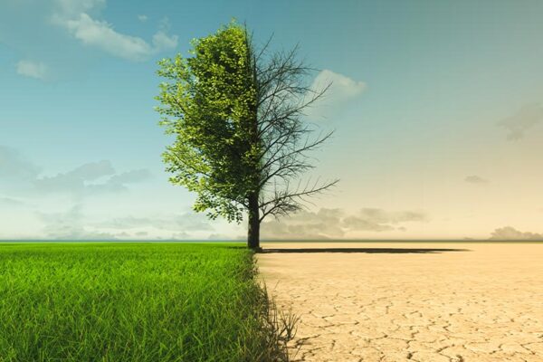 climate change image green growth on left drought on right
