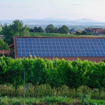 rural landscape with solar panels in german vineyards